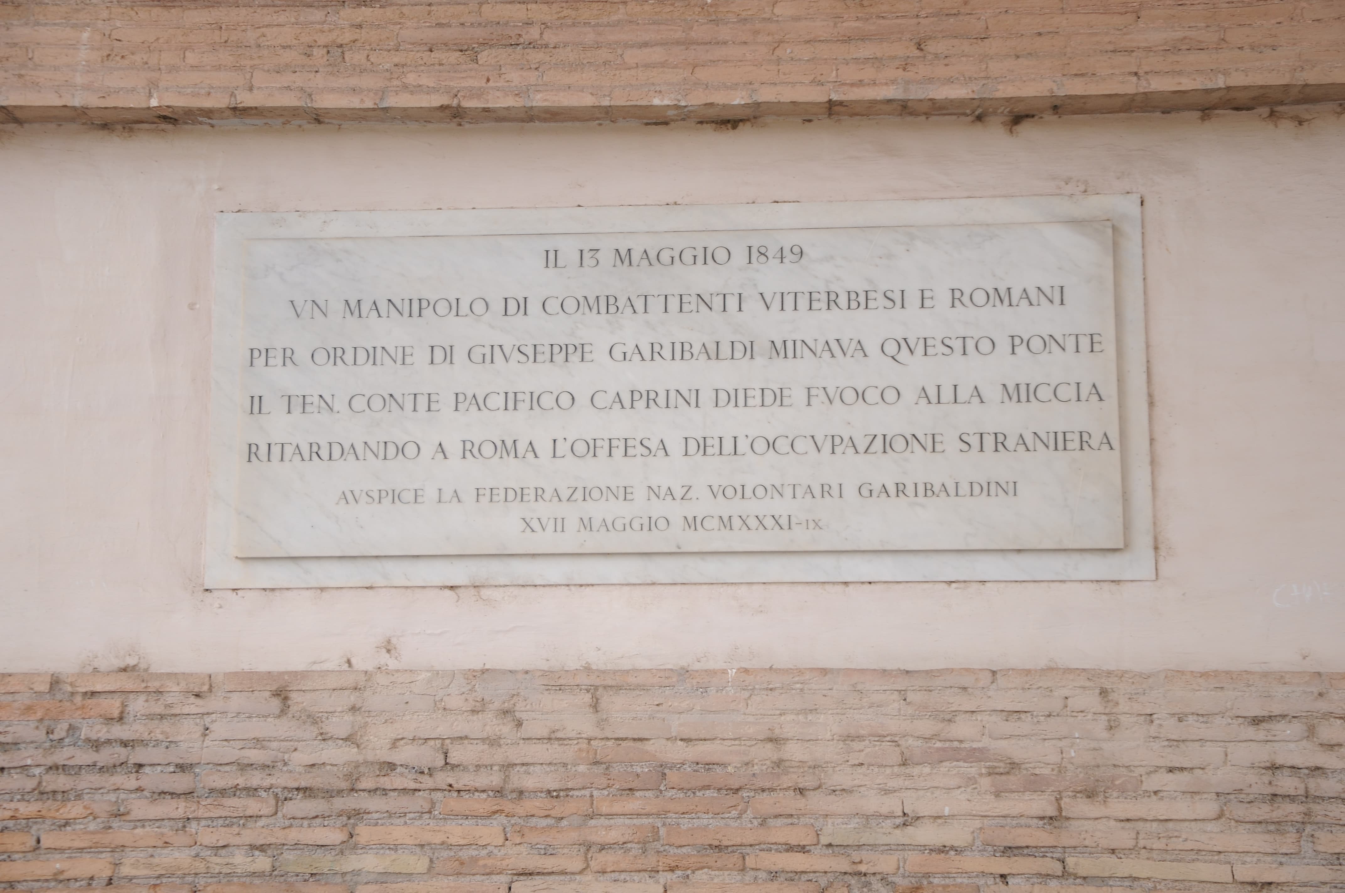 Immagine della galleria 13